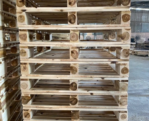 PALLET GỖ TẠI TÂY NINH