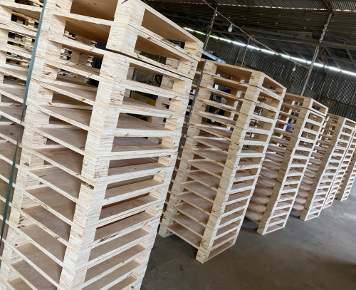 PALLET GỖ TRẢNG BOM